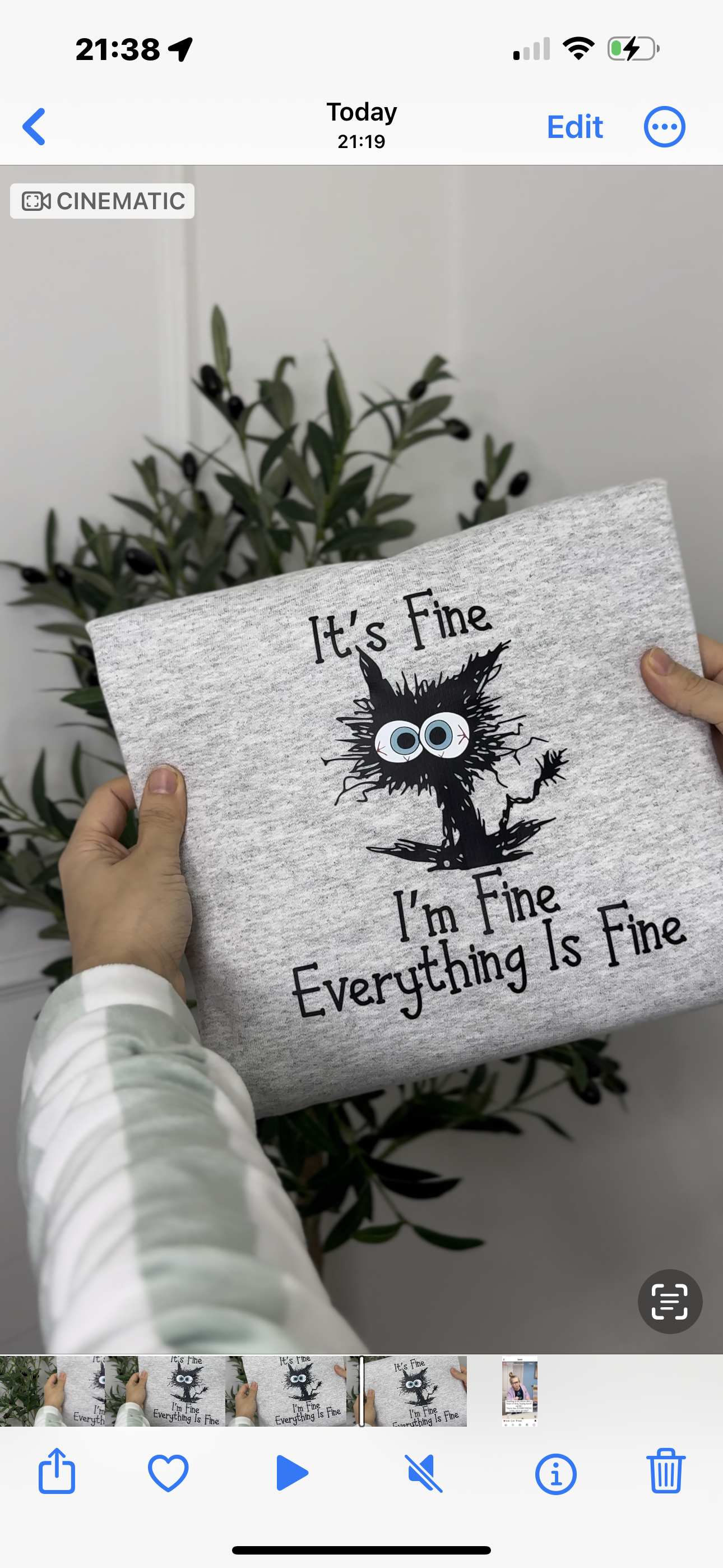 I’m fine everything is fine cat