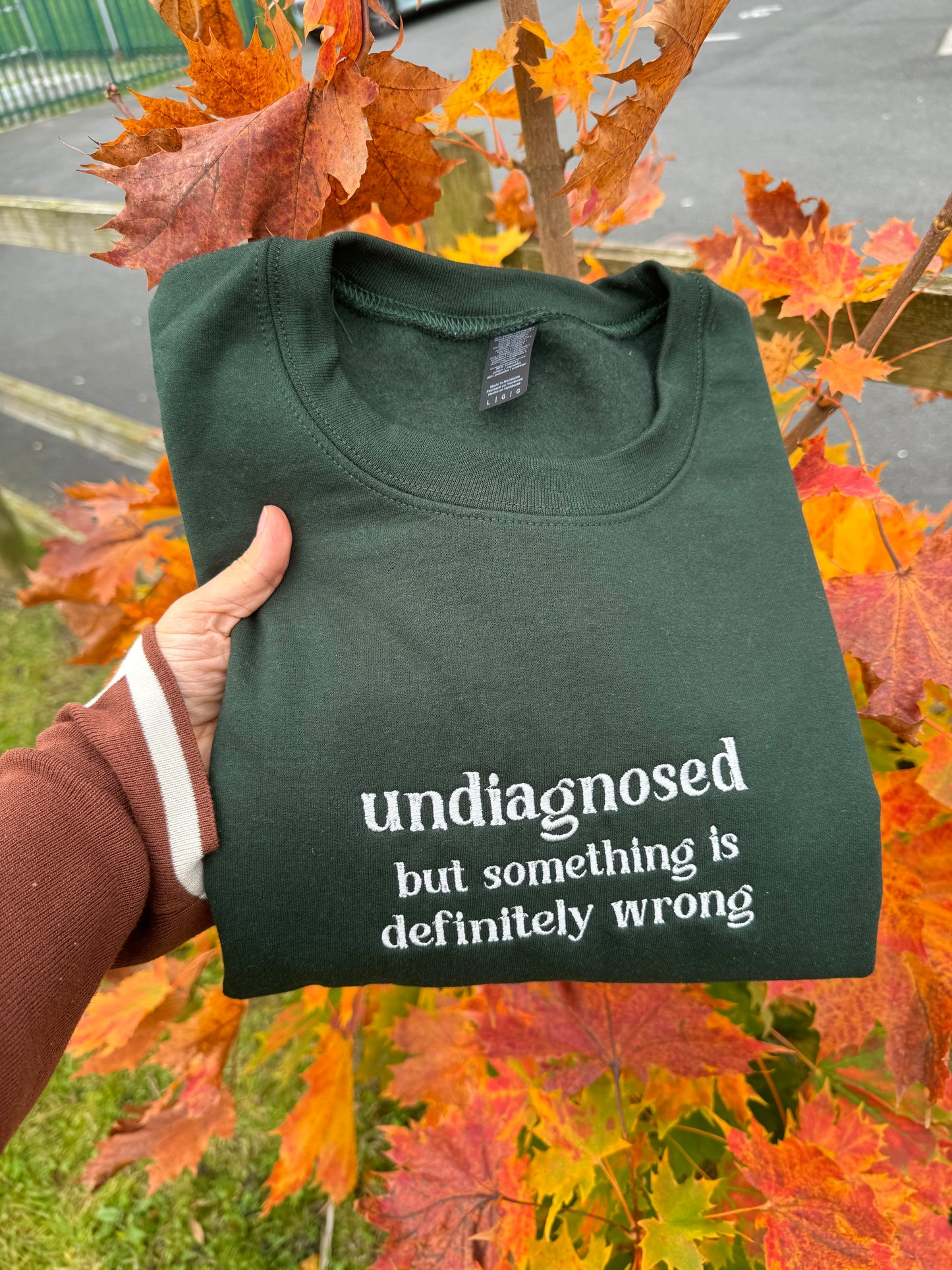 Undiagnosed but something is definitely wrong Sweatshirt