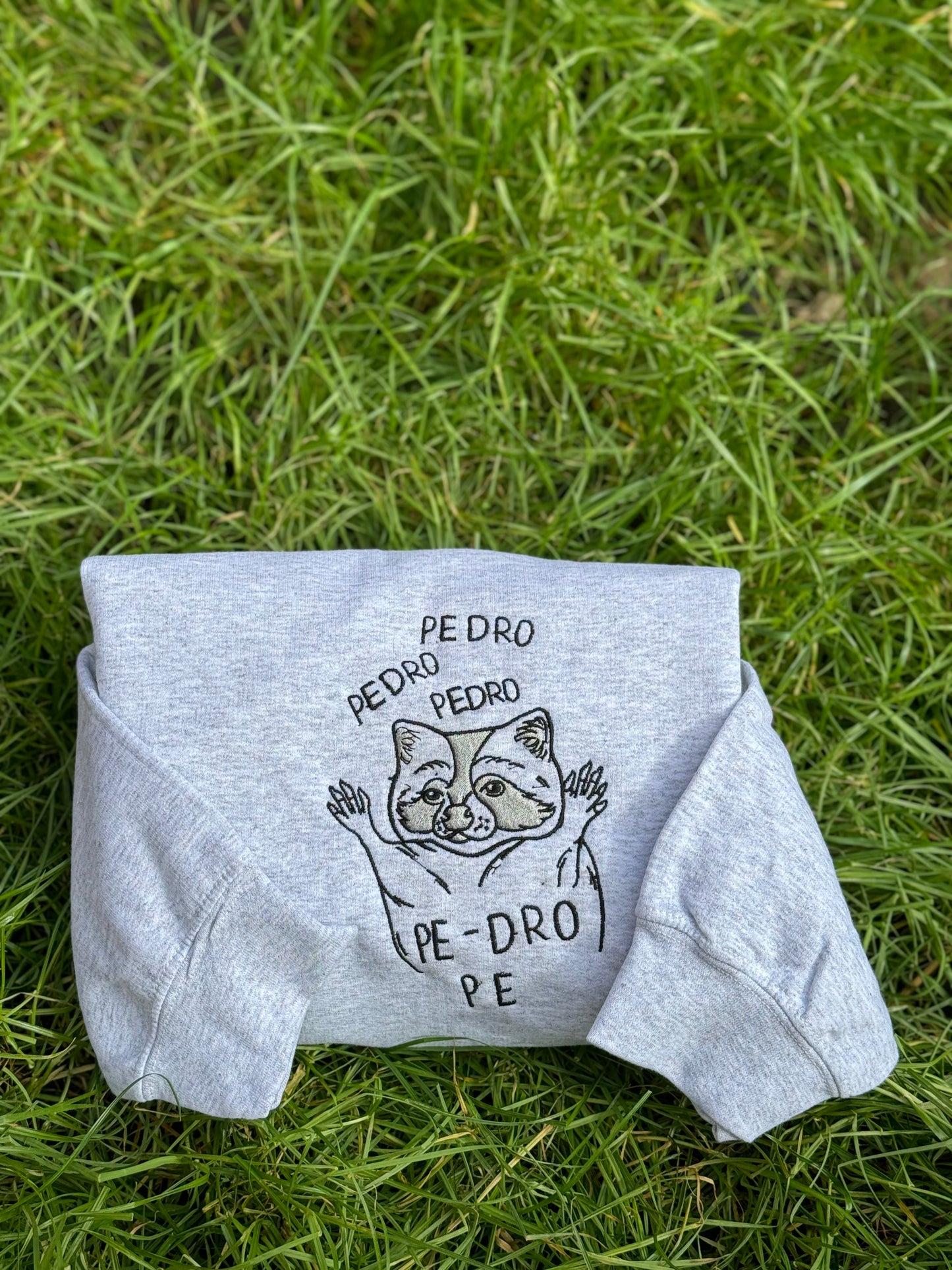 Pedro Racoon embroidered Sweatshirt