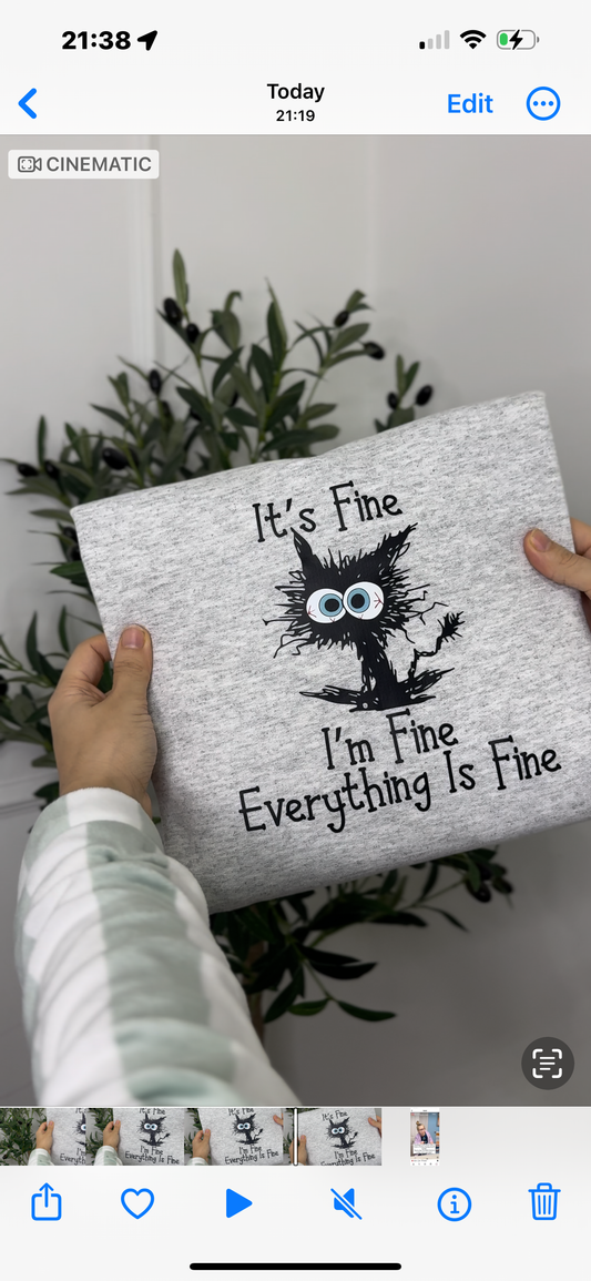 I’m fine everything is fine cat